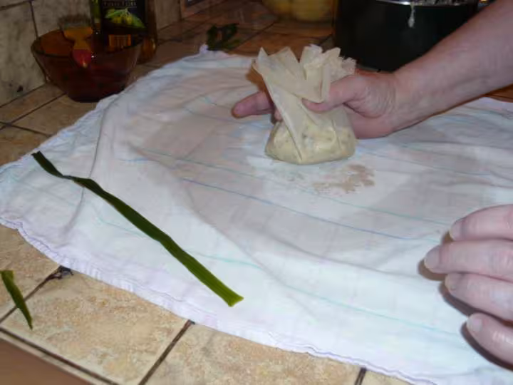Aumoniere au poulet