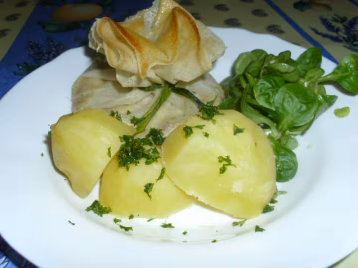 Aumoniere au poulet