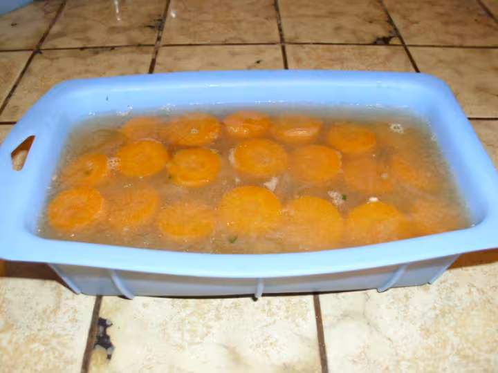 Boeuf en gelee aux carottes