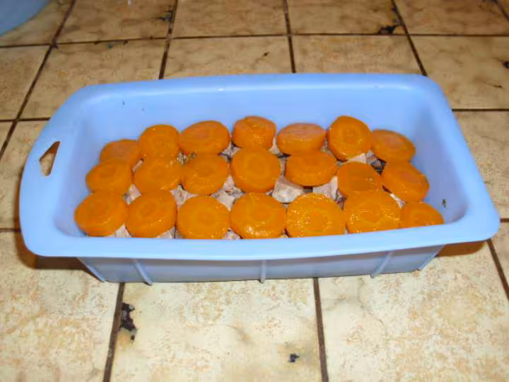Boeuf en gelee aux carottes 6
