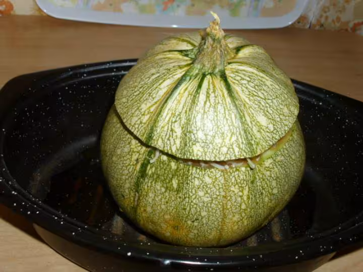 Courgette ronde farcie