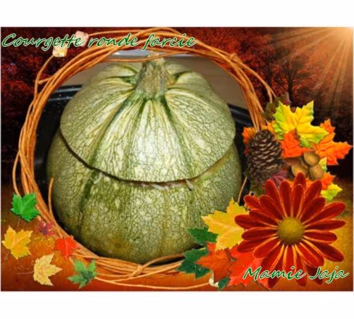 Courgette ronde farcie