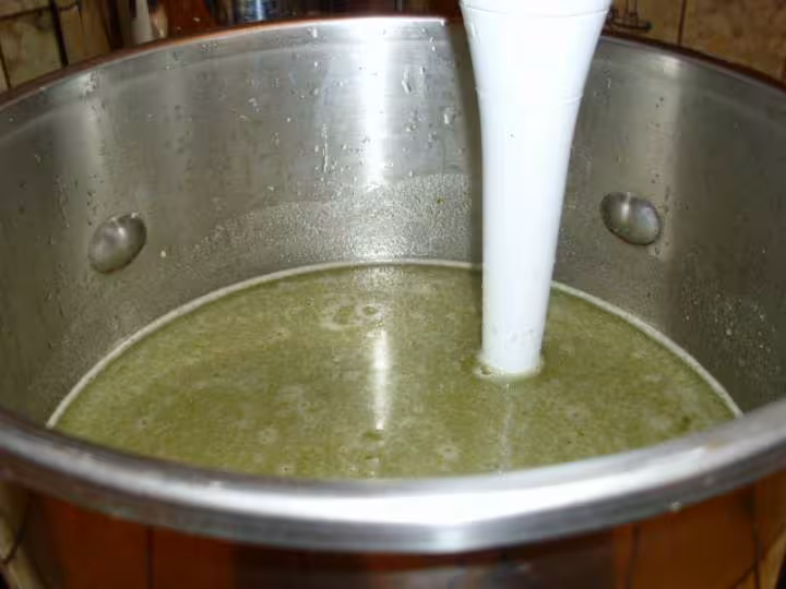 Creme de laitue 2