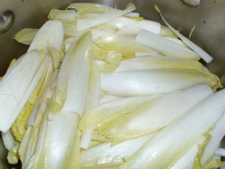 Endives pdt et oignons en 4 couches 4