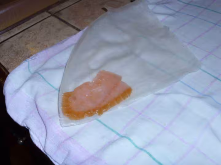 Feuilles de brik au saumon fume
