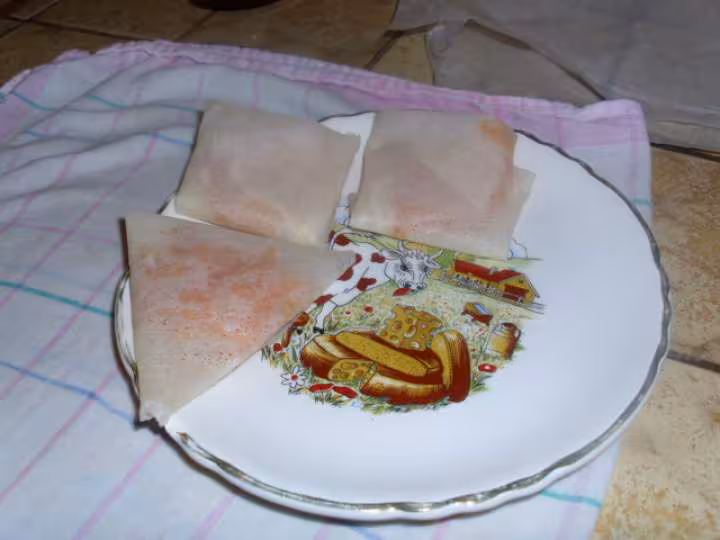 Feuilles de brik au saumon fume