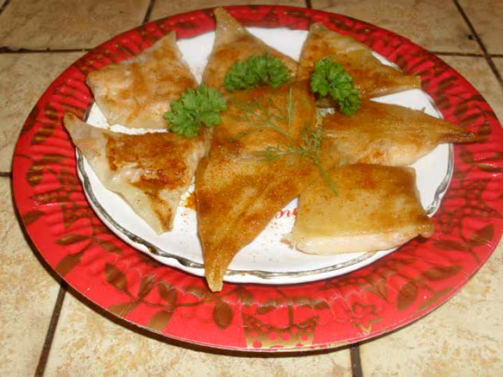Feuilles de brik au saumon fume