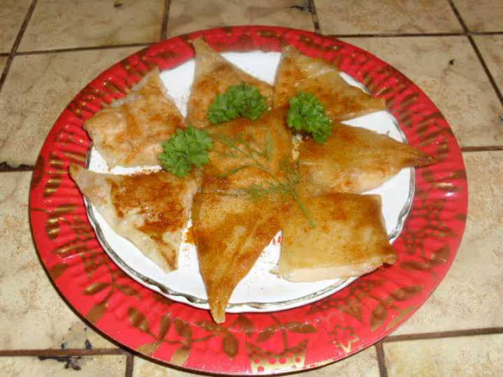 Feuilles de brik au saumon fume