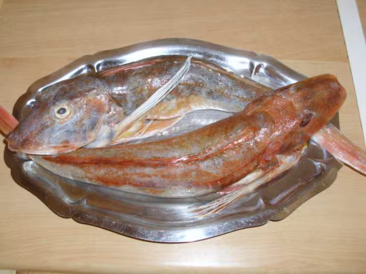 Filets de rougets farcis