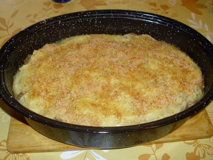 Hachis patmentier 7