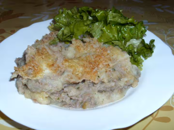 Hachis patmentier 9