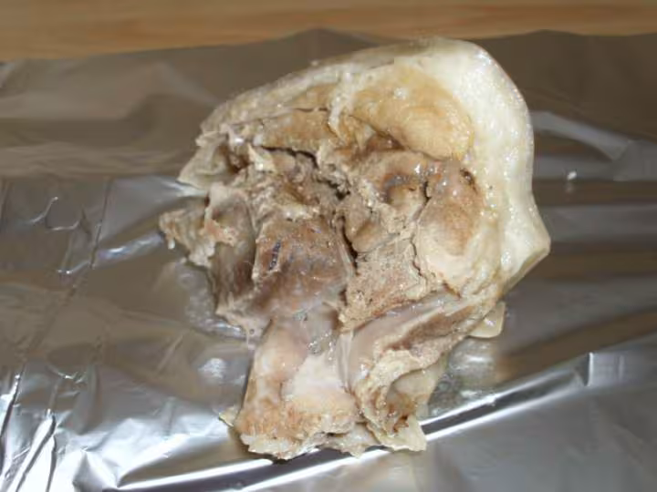 Jarret de porc froid
