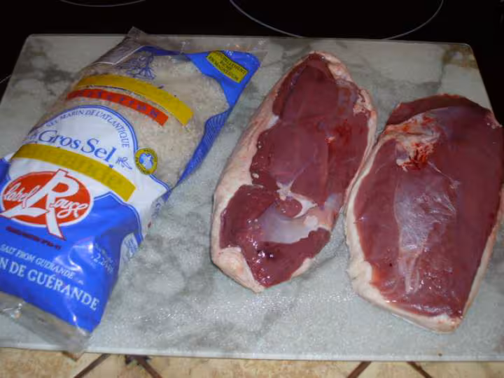 Magrets de canard seches