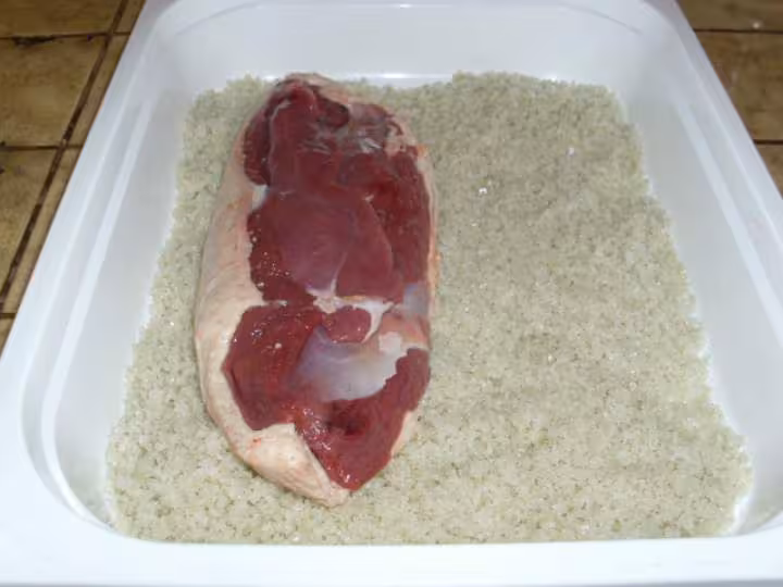Magrets de canard seches