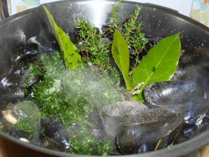 Moules au vin blanc