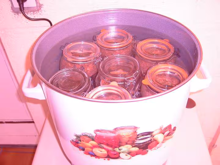 Pate de foie de boeuf 1