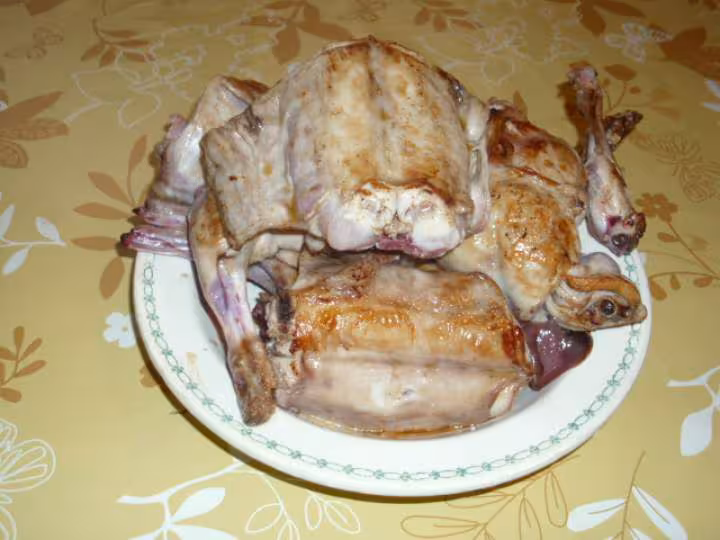 Pate de lapin 1
