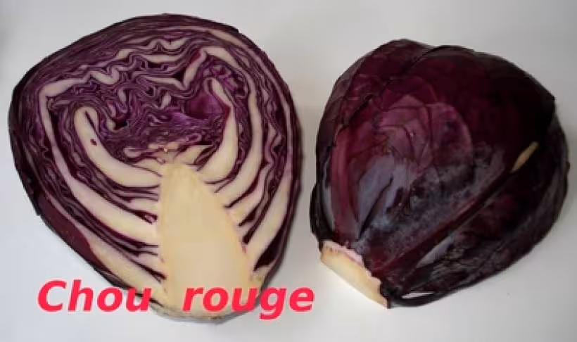 Photo de chou rouge