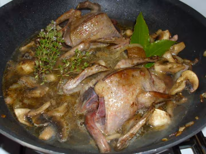 Pigeonneaux aux petits pois etc