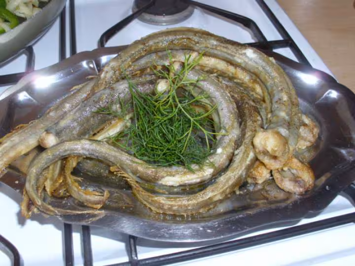 Poelee d anguilles a la creme