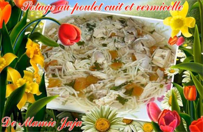 Potage au poulet cuit et vermicelle