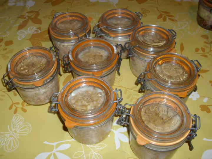 Rillettes de porc 8