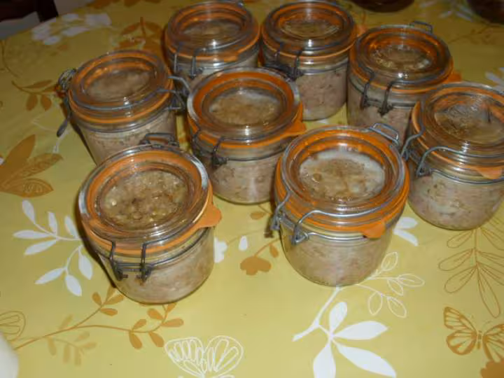 Rillettes de porc 9