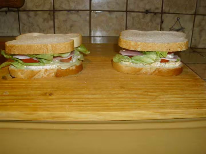 Sandwiches et sa fondue de fromage 1