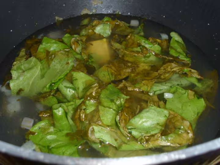 Soupe a l oseille