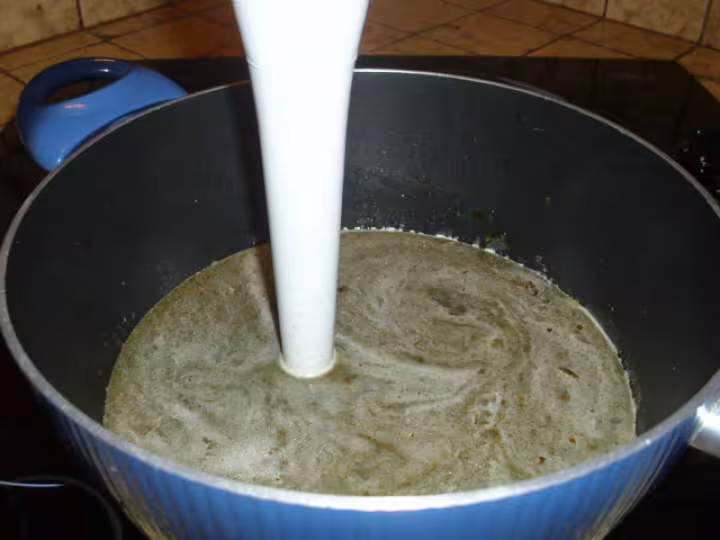 Soupe a l oseille