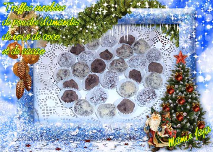 Truffes enrobees de cacao de poudre d amandes et de noix de coco
