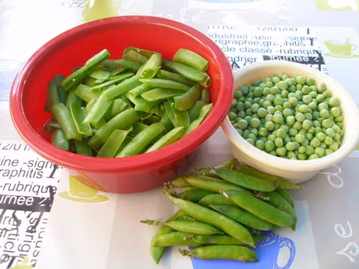 Veloute de cosses de petits pois