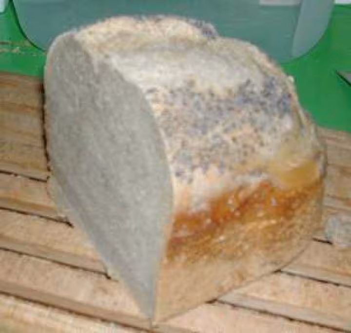 Mon dernier pain au levain map