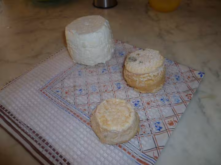 Fromages prets a etre manges
