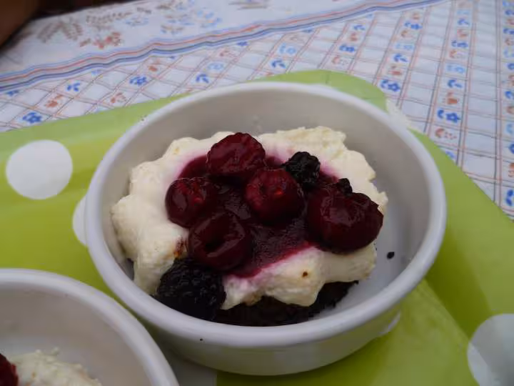 Mini bavaroise citron sur pate de biscuit et au coulis de fruits rouges