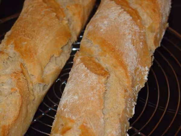 Baguettebio2