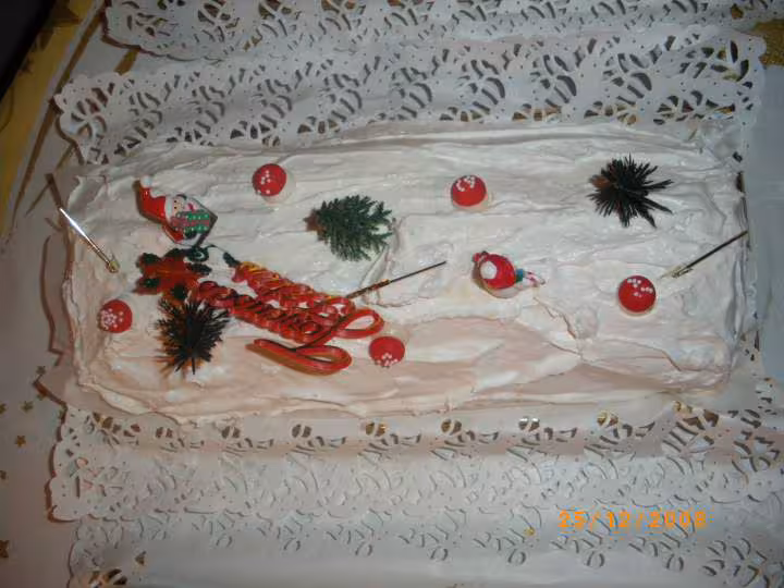 Buche de noel 2008