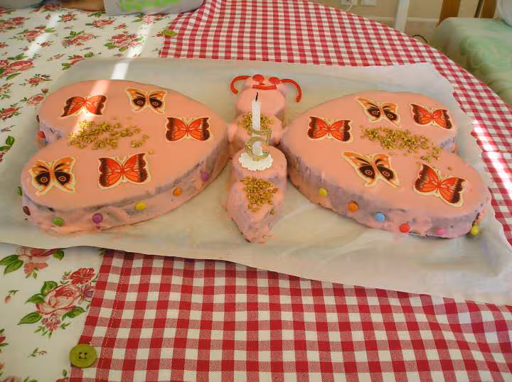 Gateau papillon 5 ans justine
