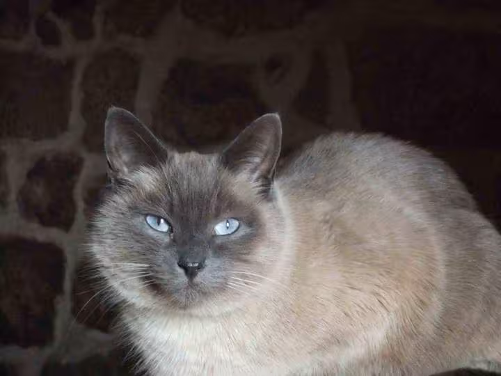 Caline photo 24 02 2012