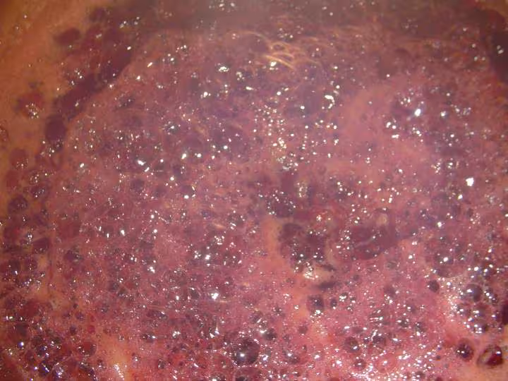 Confiture de cerises sauvages