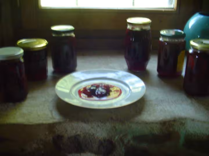 Confiture de prunes