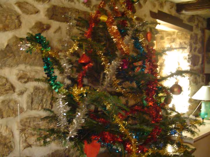 Noel 2009 13 12 2009