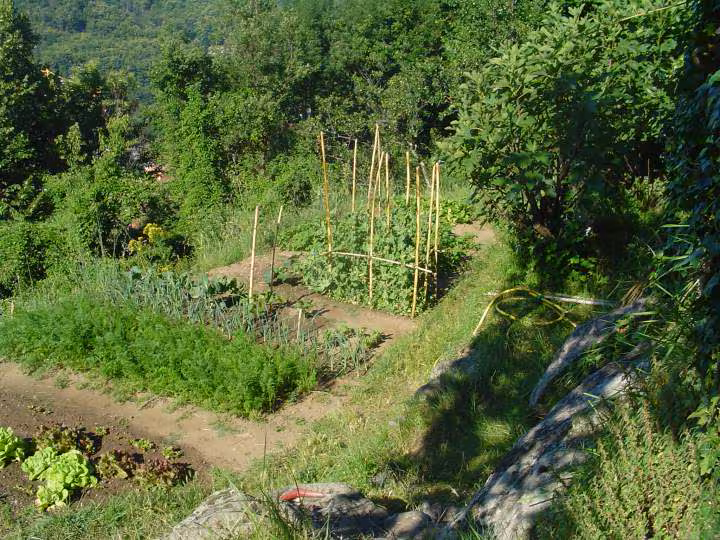 Notre potager