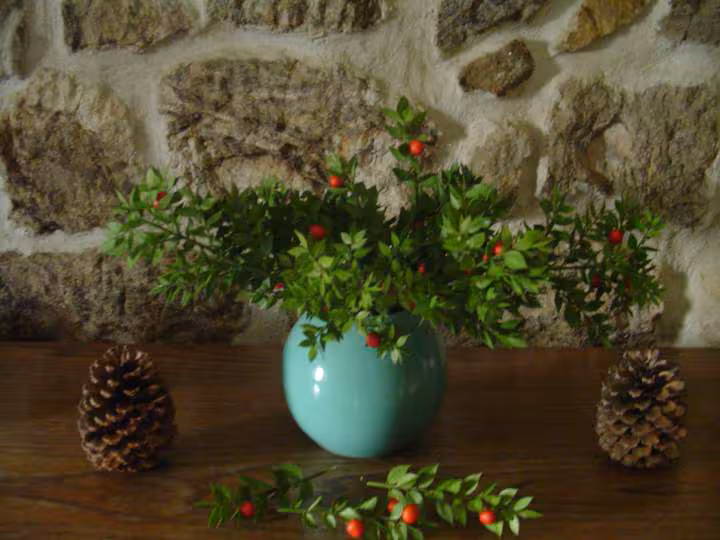 Premiere deco de noel 2009