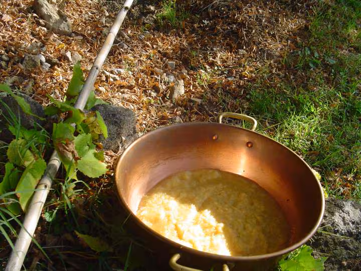Puree de coings 13 octobre 2010