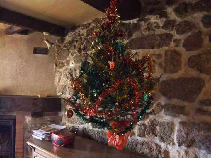 Sapin 2011 photo 14 12 2011
