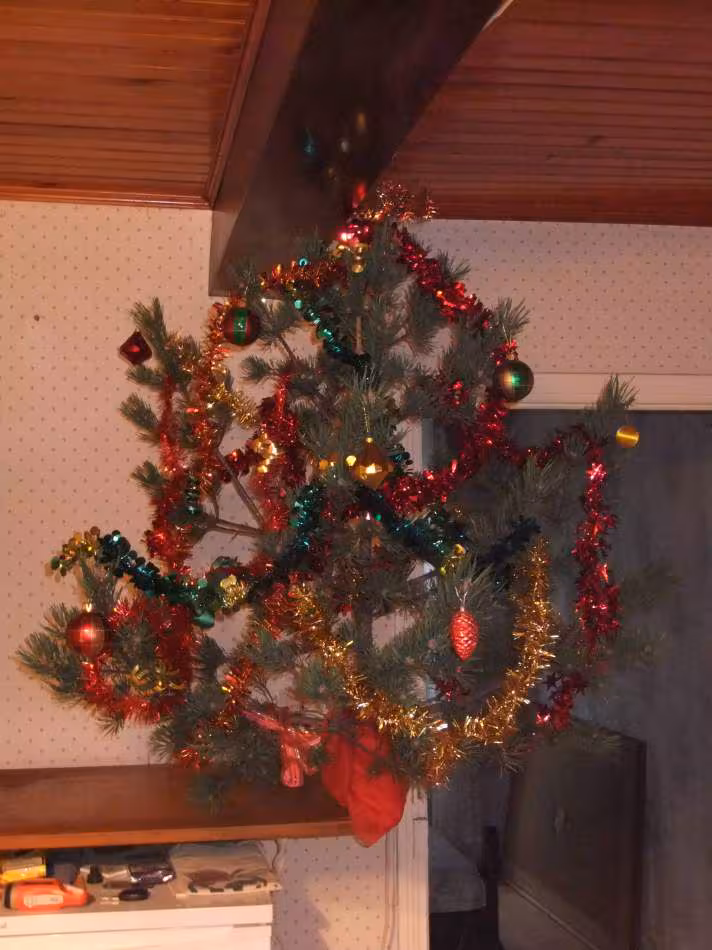 Sapin 2012 photo 20 12 2012