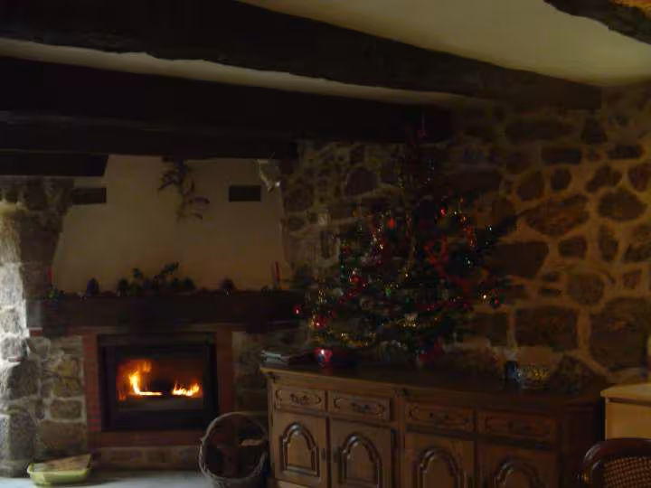 Sapin de noel 2009
