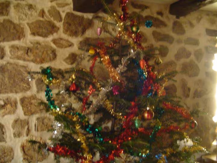 Sapin de noel 2009 13 12 2009