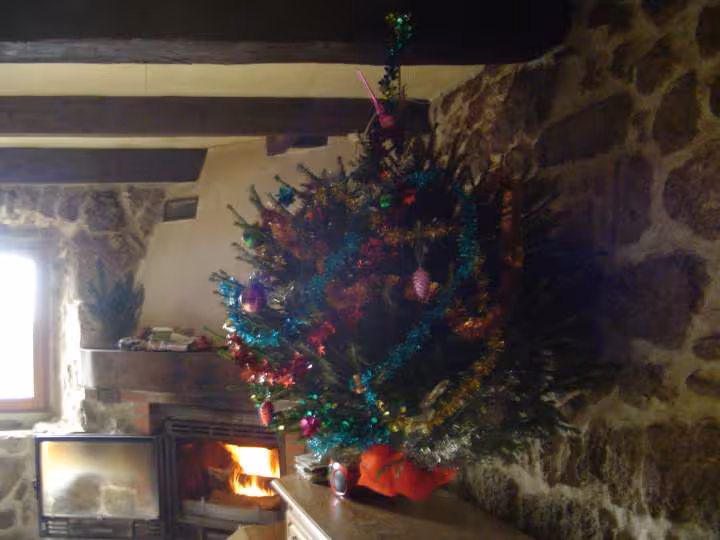 Sapin de noel 2010